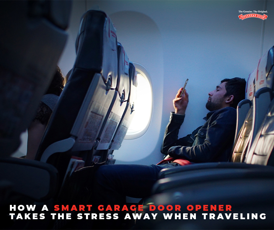 Man on Plane Looking at Phone